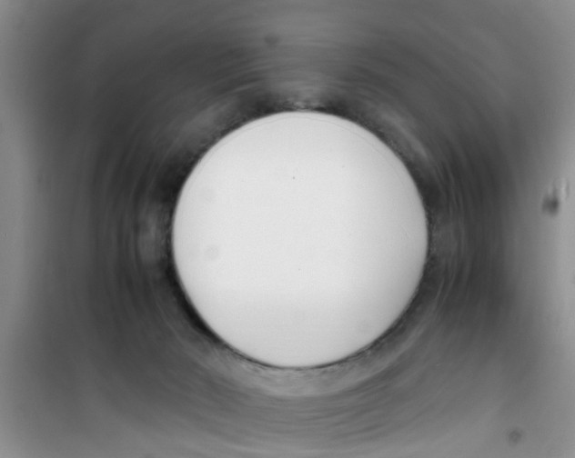 X0000100980030200807221243