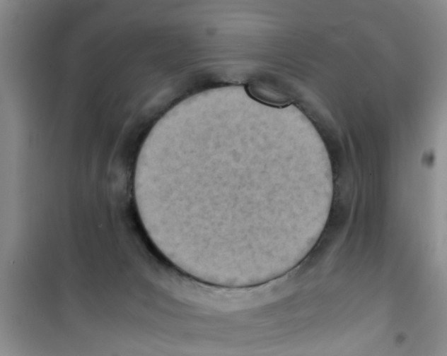 X0000100980031200807221243