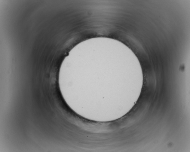 X0000100980032200807221243