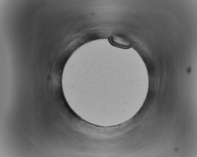 X0000100980035200807221243