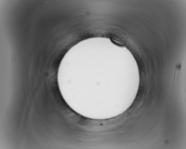 X0000100980037200807221243