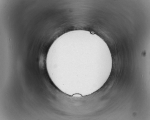 X0000100980038200807221243