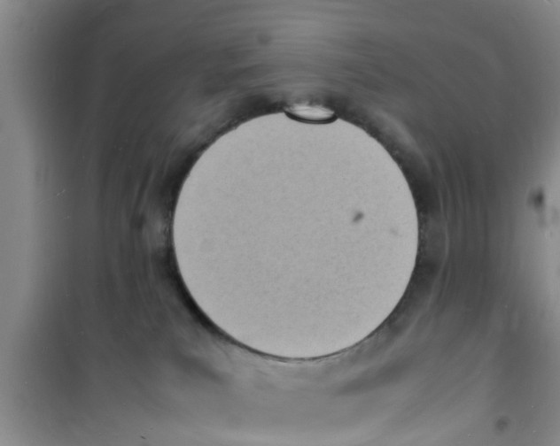 X0000100980039200807221243