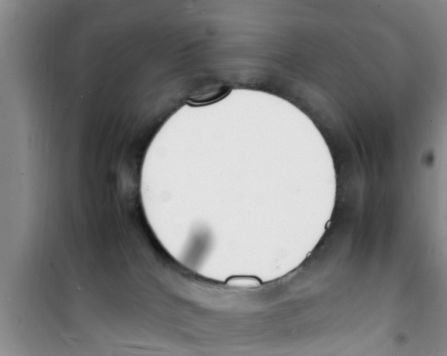 X0000100980040200807221243