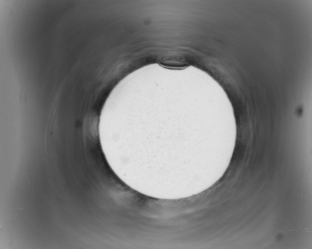 X0000100980041200807221243