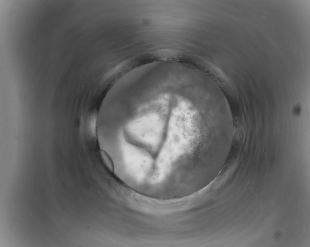 X0000100980047200807221243