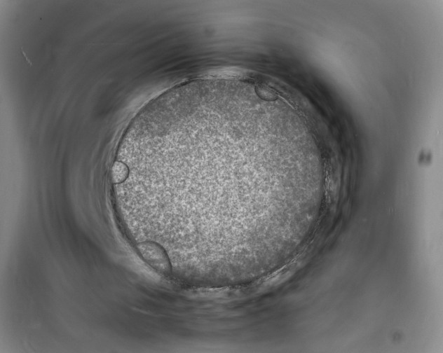 X0000100980049200807221242