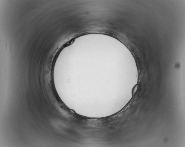 X0000100980050200807221242