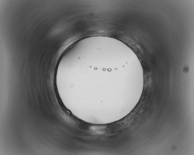 X0000100980051200807221242