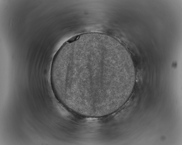 X0000100980052200807221242