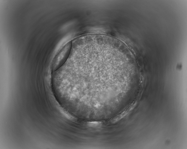 X0000100980053200807221242