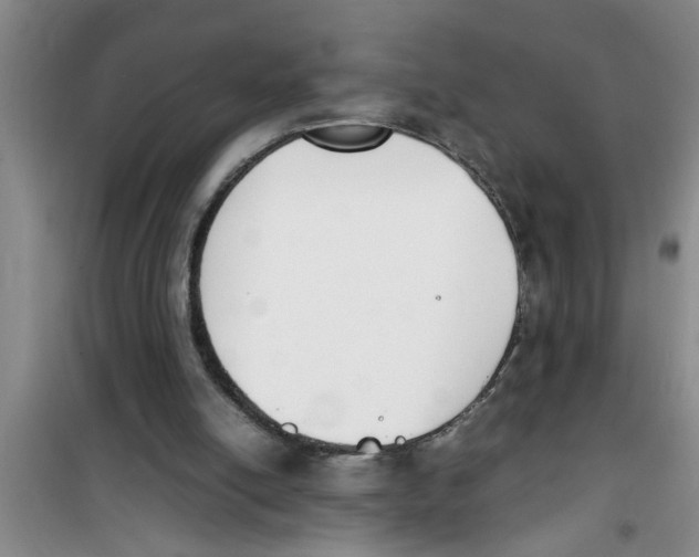 X0000100980054200807221243