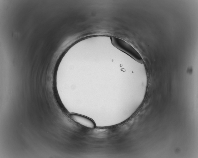 X0000100980055200807221243