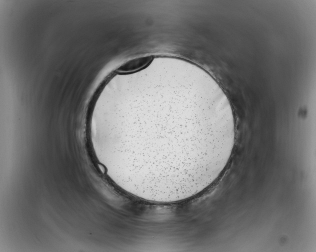 X0000100980056200807221243