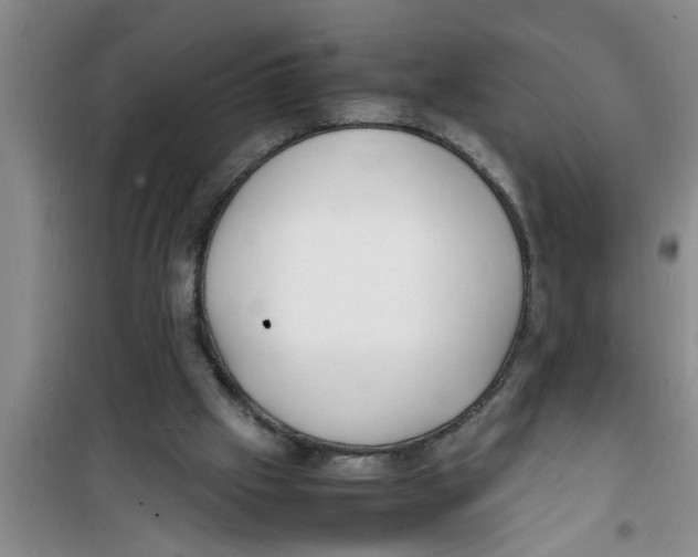 X0000100980057200807221243