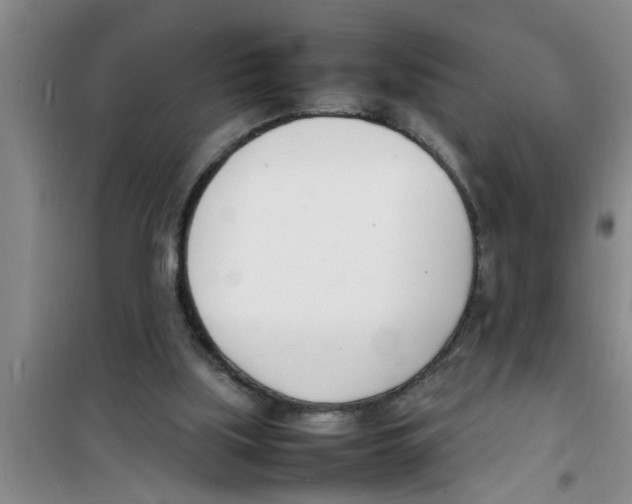 X0000100980059200807221243