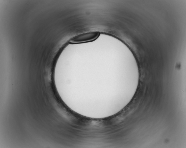 X0000100980060200807221243