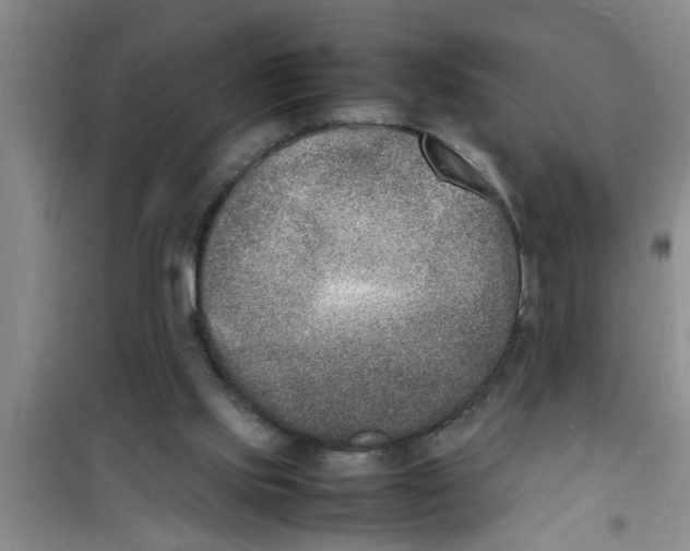 X0000100980061200807221243