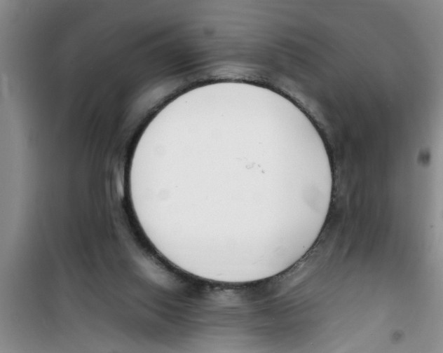 X0000100980062200807221243