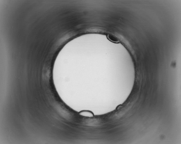 X0000100980063200807221243