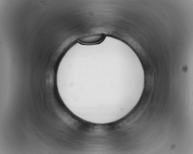 X0000100980064200807221243