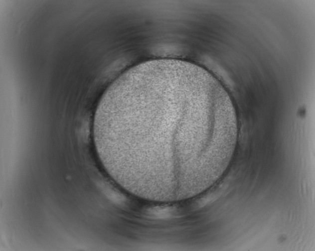 X0000100980065200807221243