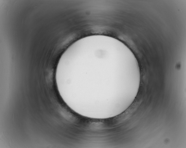 X0000100980066200807221243