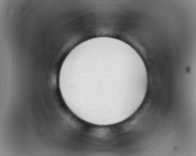 X0000100980067200807221243