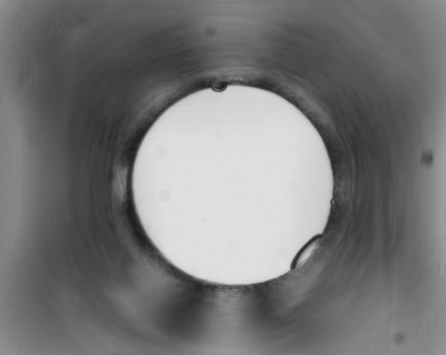 X0000100980070200807221243