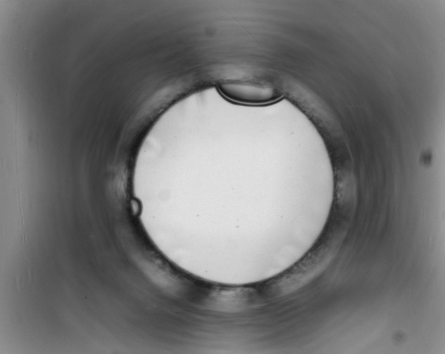 X0000100980072200807221243