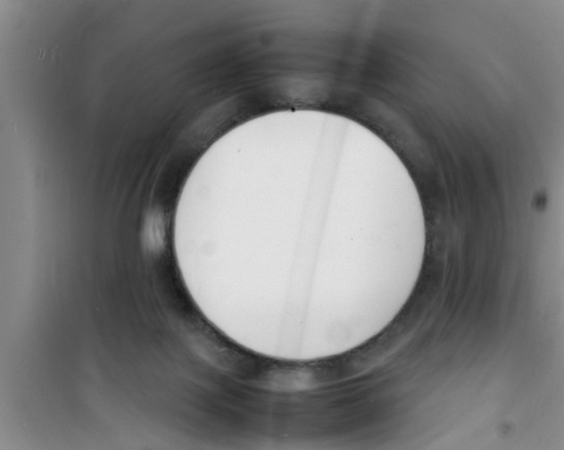 X0000100980075200807221243