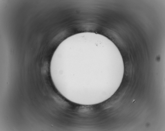 X0000100980077200807221243