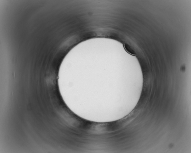 X0000100980078200807221243