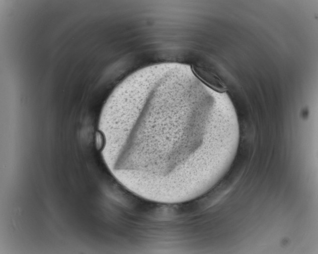 X0000100980080200807221243