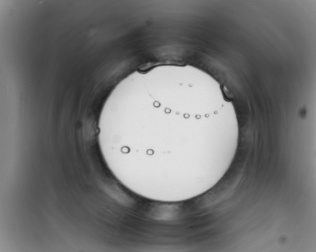 X0000100980081200807221243