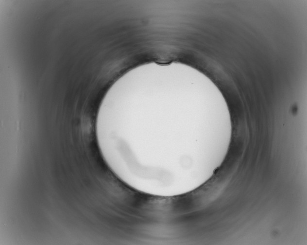 X0000100980084200807221243