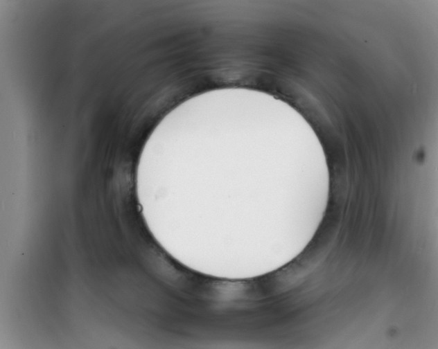 X0000100980085200807221243