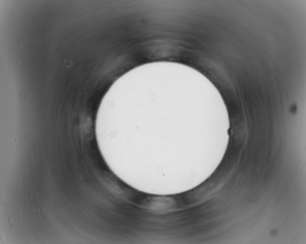 X0000100980087200807221243