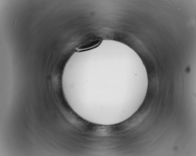 X0000100980088200807221243