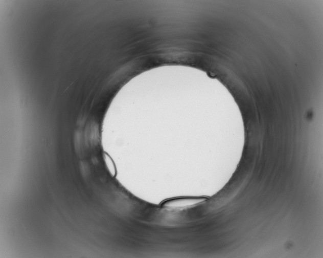 X0000100980089200807221243