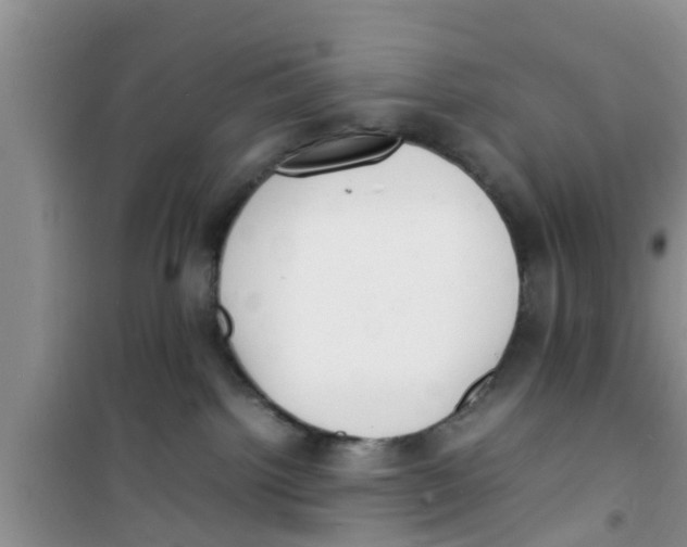 X0000100980092200807221243