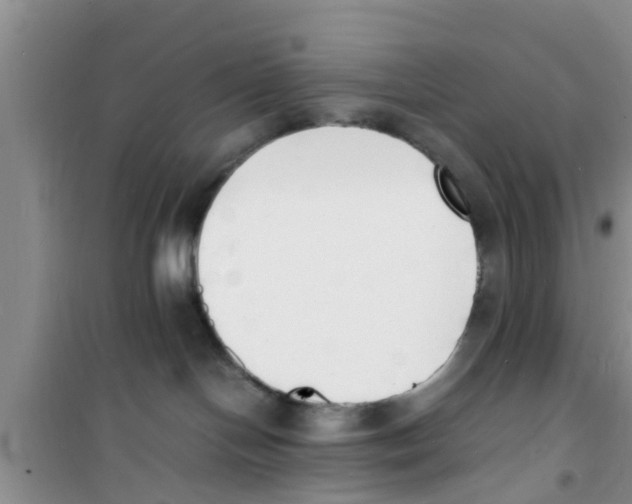 X0000100980094200807221243