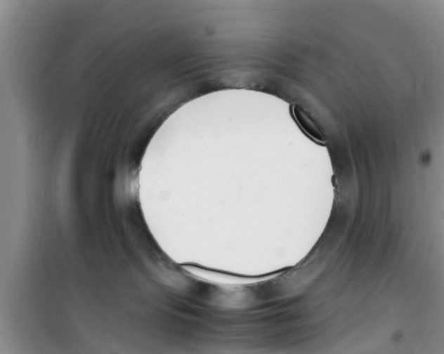 X0000100980095200807221243