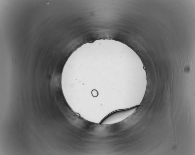 X0000100980096200807221243