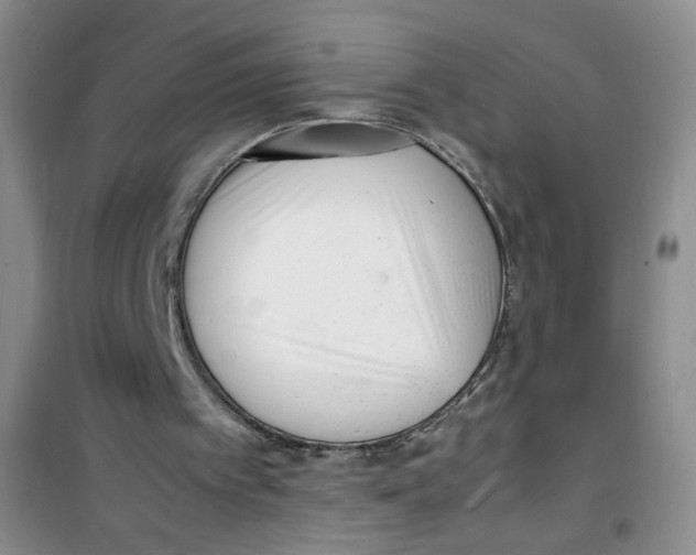 X0000100980097200807221242