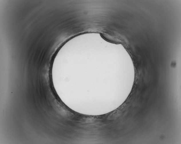 X0000100980098200807221242