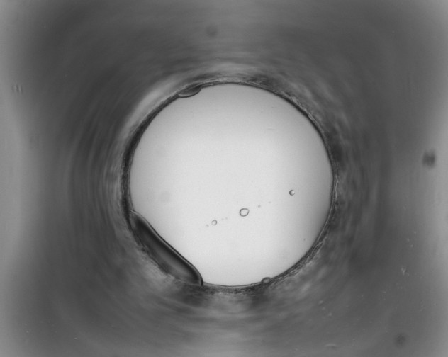 X0000100980101200807221242