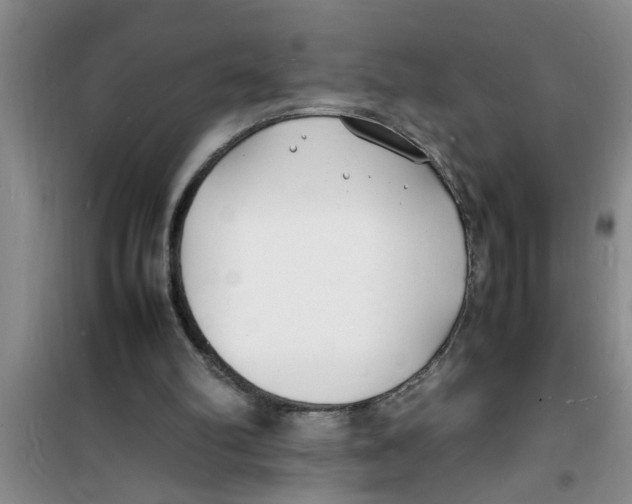 X0000100980102200807221242