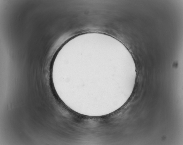 X0000100980103200807221242