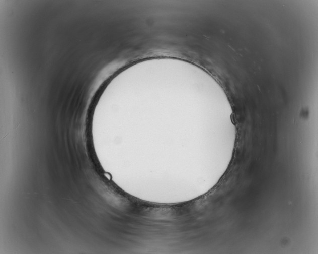 X0000100980104200807221242